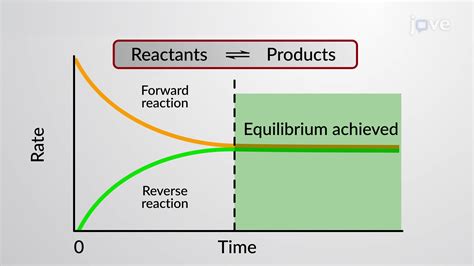 Reversible Reaction Graph