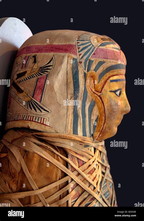 Head of Egyptian Mummified Body Stock Photo - Alamy