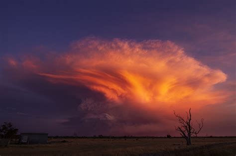 Pyrocumulonimbus | Rare Digital Artwork | MakersPlace