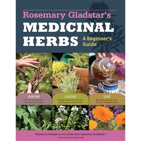 Medicinal Herbs – Texas Gardener