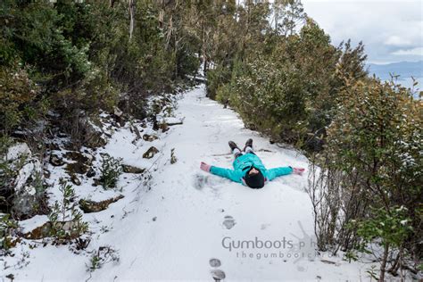 Milles Track | Mt Wellington | Spring snow | The Gumboot Chronicles