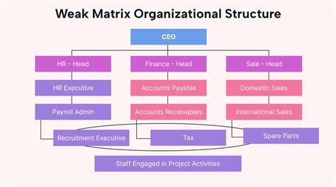 Matrix Organizational Structure: Complexity and Efficiency | Motion ...