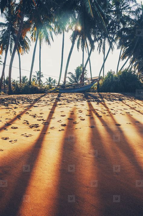 Tropical sunrise stock photo (151006) - YouWorkForThem