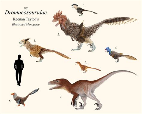 My Dromaeosauridae by IllustratedMenagerie on DeviantArt