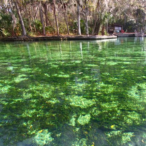 Wekiwa Springs State Park: Ideal Visiting Time, Cost, and Best ...