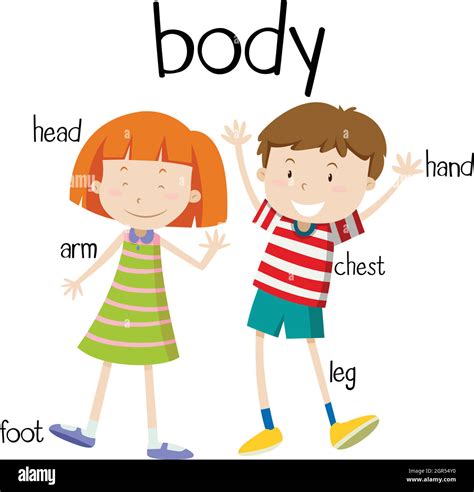 Human body parts diagram Stock Vector Image & Art - Alamy