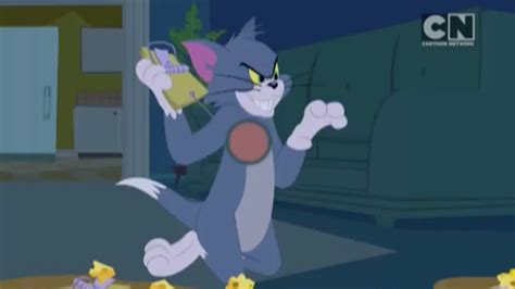 Tom jerry cartoon network - freeloadsidea