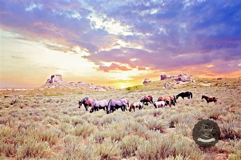 Sunrise at the Butte Western Horse Canvas Framed Wall Art | Horse wall art canvases, Horse wall ...