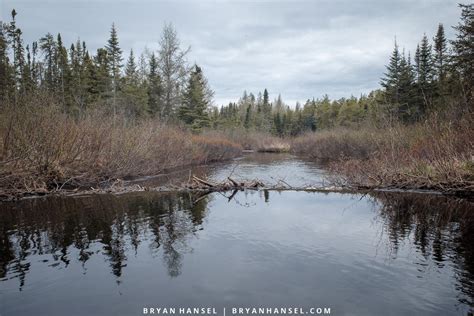 An Ode to Beaver Dams