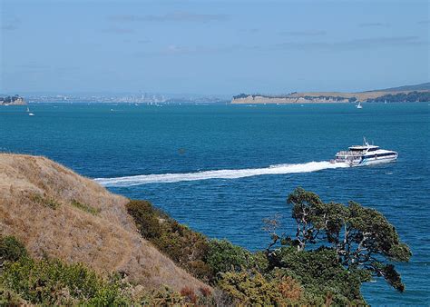 Wandering Waiheke Island: A weekend on the trails – West of Anywhere