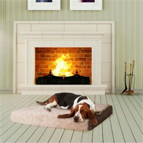 Extra Large PAW Memory Foam Dog Bed With Removable Cover, 1 - Pick ‘n Save