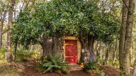 Winnie the Pooh's tree house for rent at this 'Bearbnb' | CNN Travel