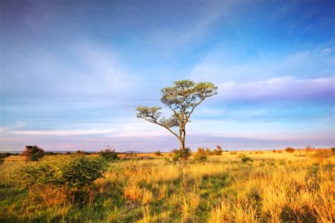 Africa | Natural landmarks, Photography inspiration, Outdoor