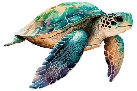 Watercolor Sea Turtle Vector Graphic by BreakingDots · Creative Fabrica