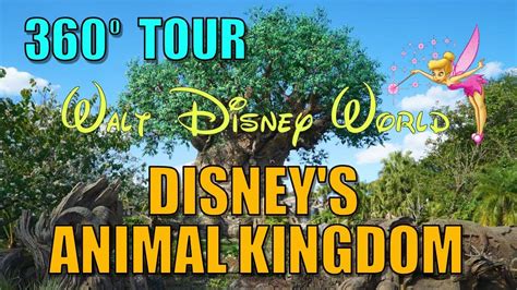 Walt Disney World Animal Kingdom - 360 Degree Virtual Tour - YouTube