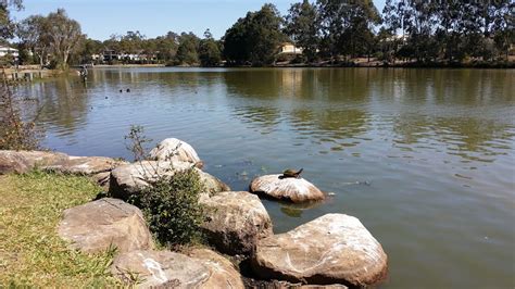 Forest Lake - 7A The Esplanade, Forest Lake QLD 4078, Australia