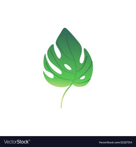 Cartoon green fern plant leaf icon Royalty Free Vector Image