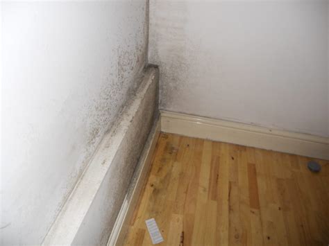 What Causes Damp Walls | Damp Walls in Surveys