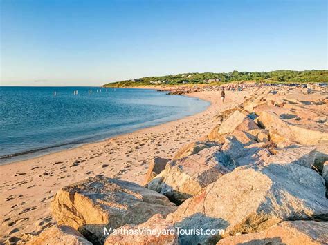 The 10 Best Martha's Vineyard Beaches