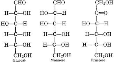 Seven Days per Week: STPM Biology Biological Molecules (Part 3)