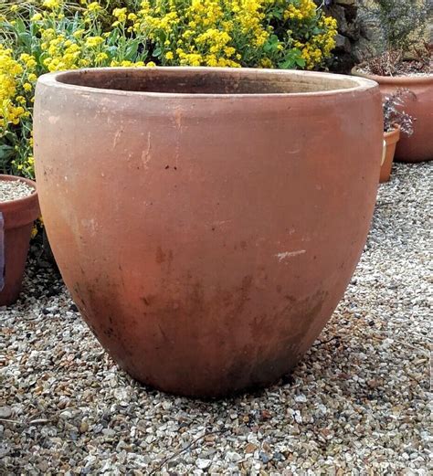 Huge terracotta plant pot | in Ilminster, Somerset | Gumtree