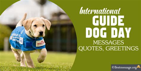 International Guide Dog Day Wishes, Quotes Messages - Expose Times