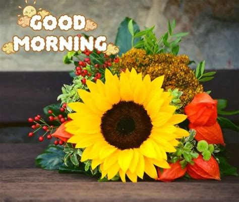 51+ Good Morning Sunflower Images [Best Sunflower Quotes 2023]