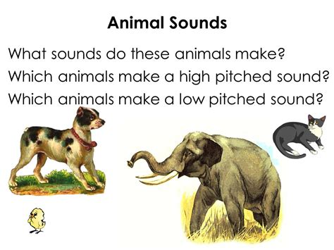 Sound: Lesson 50 Sound and Size - ppt video online download