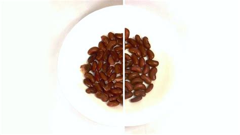 Pressure Cooking DRY versus SOAKED Beans – hip pressure cooking