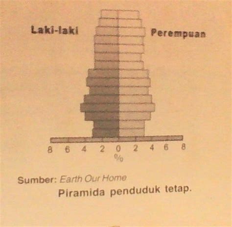 MeiGiaNa bLog: Piramida Penduduk dan Macam-Macam Piramida Penduduk serta Karakteristiknya