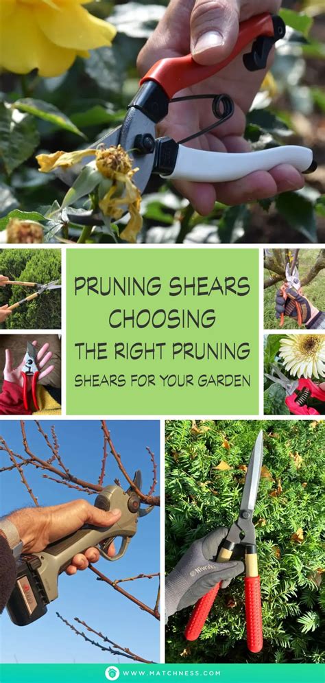 Pruning Shears: Choosing the Right Pruning Shears for Your Garden ...