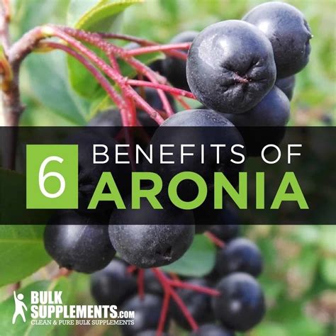 Tablo | Read 'Aronia Berry: Benefits, Dosage & Side Effects' by