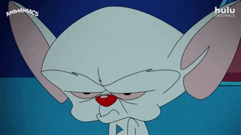 Pinky And The Brain GIF by HULU - Find & Share on GIPHY