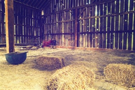 Should I Have Pole Barn Lighting Installed Before Winter | Bryan Electric