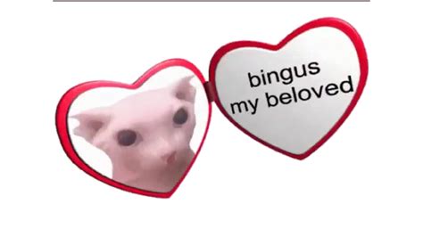 Who Or What Is A "Bingus"? | Know Your Meme