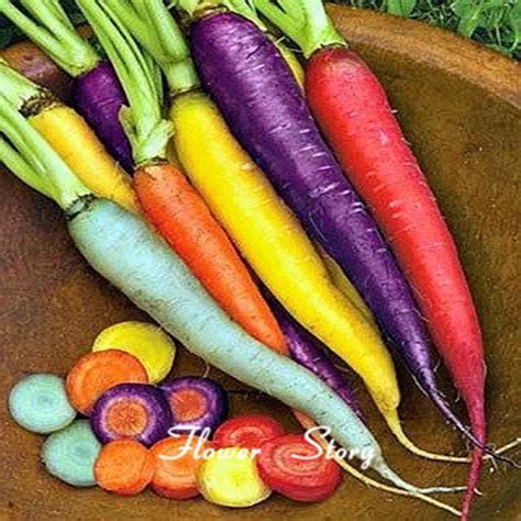 200 Rainbow carrot seeds. MIX Seven crazy varieties Vegetable seeds . Organic Heirloom Seed.Free ...