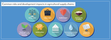 OECD-FAO Guidance for Responsible Agricultural Supply Chains | FAO | Food and Agriculture ...