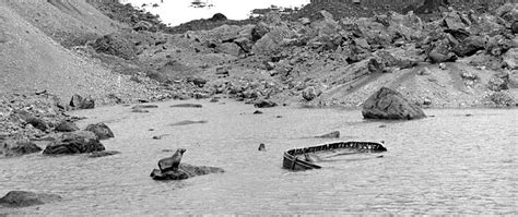 The Mystery Of The Boat In The Middle Of Bouvet Island