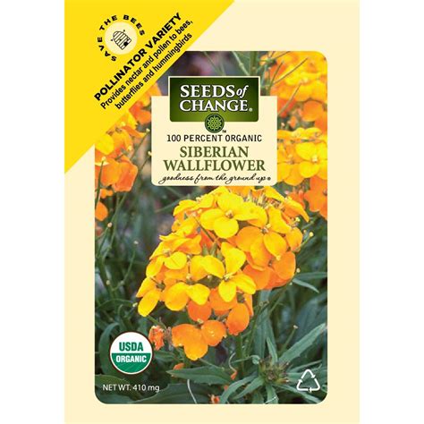 Seeds of Change 410 mg Siberian Wallflower Seeds-08175 - The Home Depot