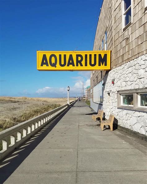 Seaside Aquarium | Accidentally Wes Anderson