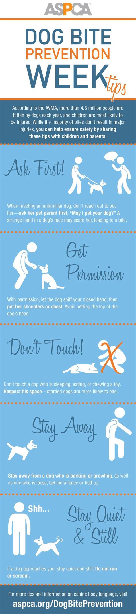 It's Dog Bite Prevention Week: Read Our Safety Tips | Dog bite ...