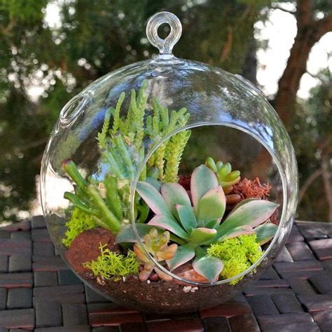 20 Ideas and Tips for Using Glass Terrariums in Your Home Decor - 20 Ideas and Tips for Using ...