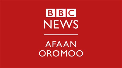 Oduu - BBC News Afaan Oromoo