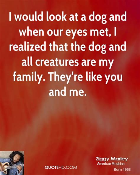 Dogs Are Family Quotes. QuotesGram