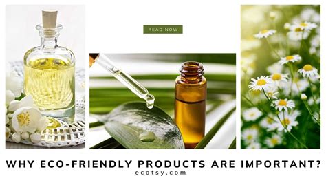 Why Eco friendly products are important? - Ecotsy