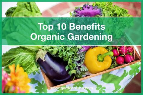 Top 10 Organic Gardening Benefits - Smart Garden And Home