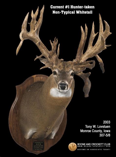 Possible Record Largest Non-typical Whitetail Harvested in Indiana | OutdoorHub