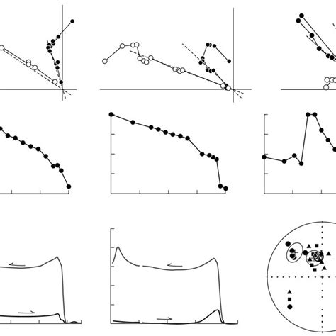 Results of petroo and paleomagnetic investigations of rocks from... | Download Scientific Diagram