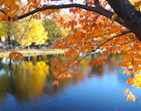 Fall Foliage Tours 2018 - Boston and New England - Boston Discovery Guide