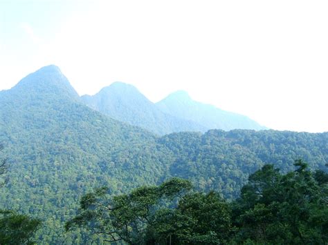 Tam Dao National Park – Vinh Phuc Province, Vietnam